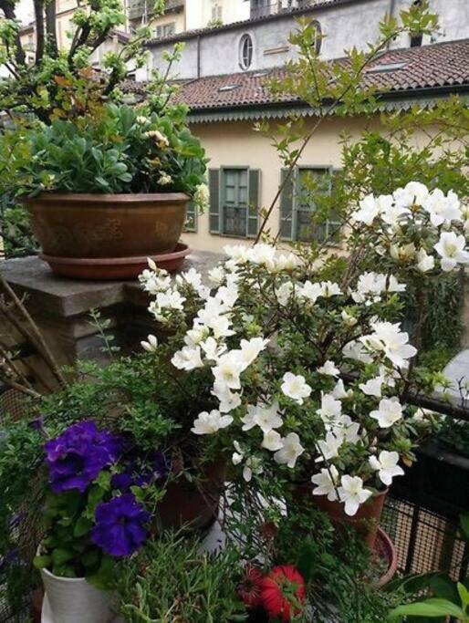 Appartamento Con Terrazzo Nel Centro Di Torino 외부 사진